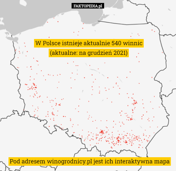 W Polsce istnieje aktualnie 540 winnic
(aktualne: na grudzień 2021) Pod adresem winogrodnicy.pl jest ich interaktywna mapa 