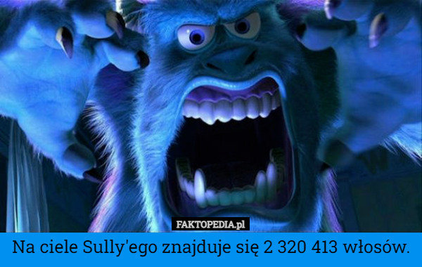 Na ciele Sully'ego znajduje się 2 320 413 włosów. 