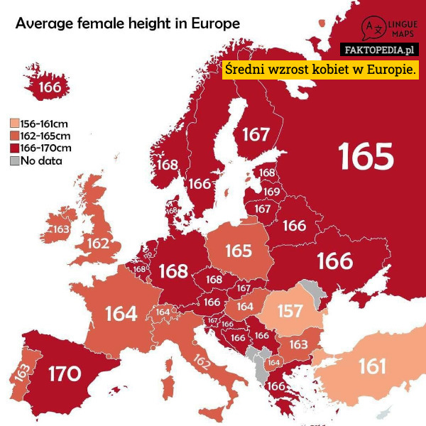 Średni wzrost kobiet w Europie. 