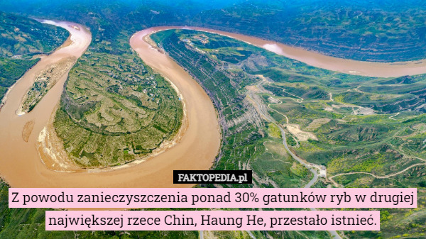 Z powodu zanieczyszczenia ponad 30% gatunków ryb w drugiej największej rzece Chin, Haung He, przestało istnieć. 