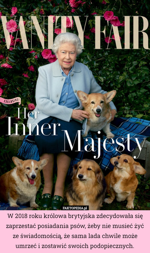 W 2018 roku królowa brytyjska zdecydowała się zaprzestać posiadania psów, żeby nie musieć żyć ze świadomością, że sama lada chwile może umrzeć i zostawić swoich podopiecznych. 