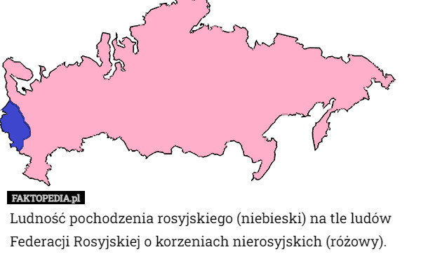 Ludność pochodzenia rosyjskiego (niebieski) na tle ludów Federacji Rosyjskiej o korzeniach nierosyjskich (różowy). 
