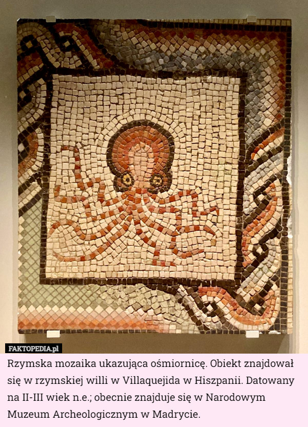 Rzymska mozaika ukazująca ośmiornicę. Obiekt znajdował się w rzymskiej willi w Villaquejida w Hiszpanii. Datowany na II-III wiek n.e.; obecnie znajduje się w Narodowym Muzeum Archeologicznym w Madrycie. 