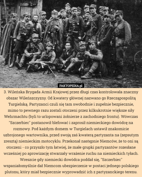 3. Wileńska Brygada Armii Krajowej przez długi czas kontrolowała znaczny obszar Wileńszczyzny. Od kwatery głównej nazwano go Rzecząpospolitą Turgielską. Partyzanci czuli się tam swobodnie i zupełnie bezpiecznie, mimo to pewnego razu zostali otoczeni przez kilkukrotnie większe siły Wehrmachtu (byli to urlopowani żołnierze z zachodniego frontu). Wówczas "Szczerbiec" postanowił blefować i zaprosił niemieckiego dowódcę na rozmowy. Pod każdym domem w Turgielach ustawił znakomicie uzbrojonego wartownika, przed swoją zaś kwaterą partyzanta na (zepsutym zresztą) niemieckim motocyklu. Przekonał następnie Niemców, że to oni są otoczeni - co przyszło tym łatwiej, że małe grupki partyzantów rozesłane wcześniej po aprowizację stwarzały wrażenie ruchu na niemieckich tyłach. Wreszcie gdy niemiecki dowódca poddał się, "Szczerbiec" wspaniałomyślnie dał Niemcom ubezpieczenie w postaci jednego polskiego plutonu, który miał bezpiecznie wyprowadzić ich z partyzanckiego terenu. 
