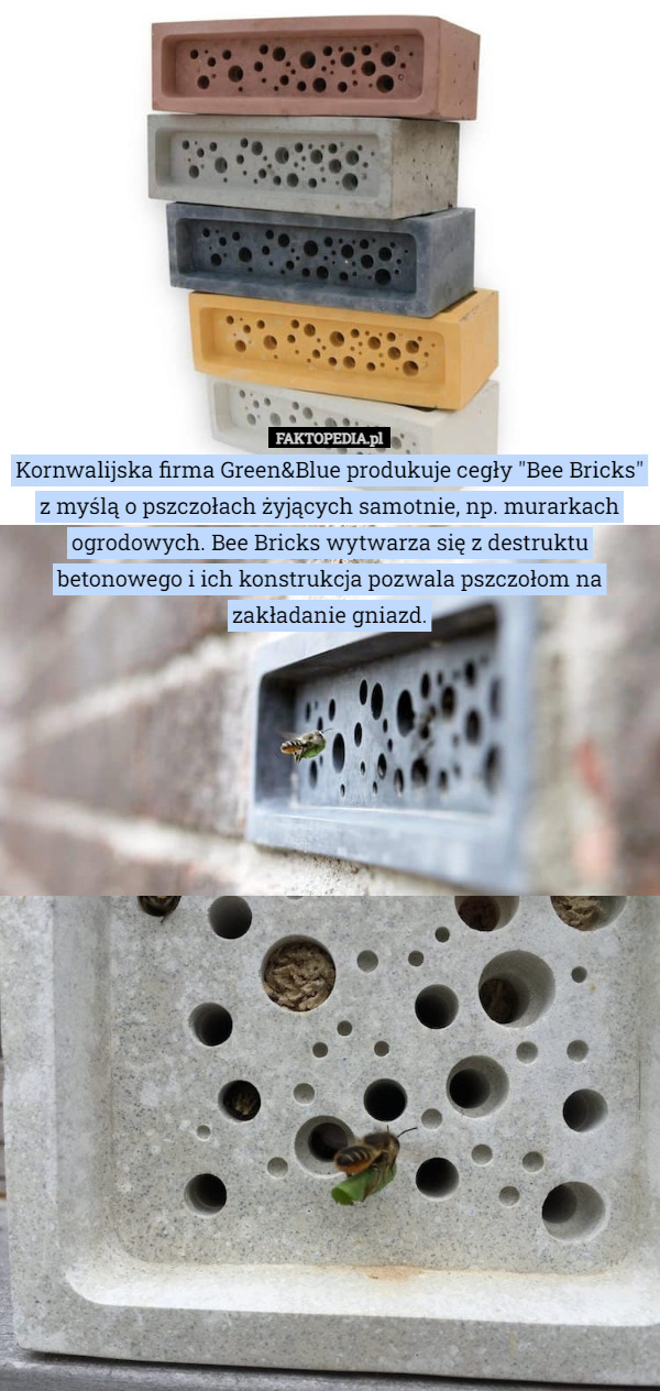 Kornwalijska firma Green&Blue produkuje cegły "Bee Bricks" z myślą o pszczołach żyjących samotnie, np. murarkach ogrodowych. Bee Bricks wytwarza się z destruktu betonowego i ich konstrukcja pozwala pszczołom na zakładanie gniazd. 