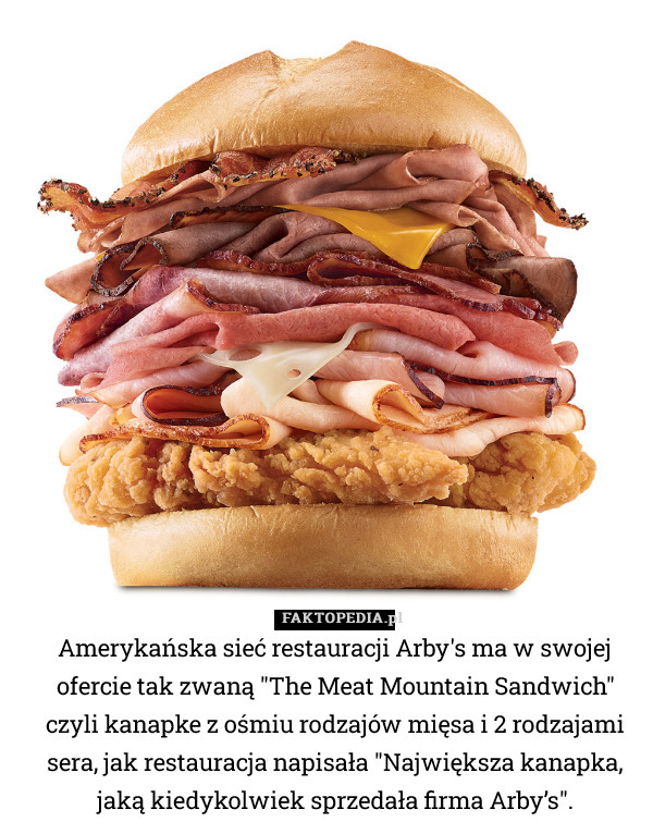 Amerykańska sieć restauracji Arby's ma w swojej ofercie tak zwaną "The Meat Mountain Sandwich" czyli kanapke z ośmiu rodzajów mięsa i 2 rodzajami sera, jak restauracja napisała "​Największa kanapka, jaką kiedykolwiek sprzedała firma Arby’s". 