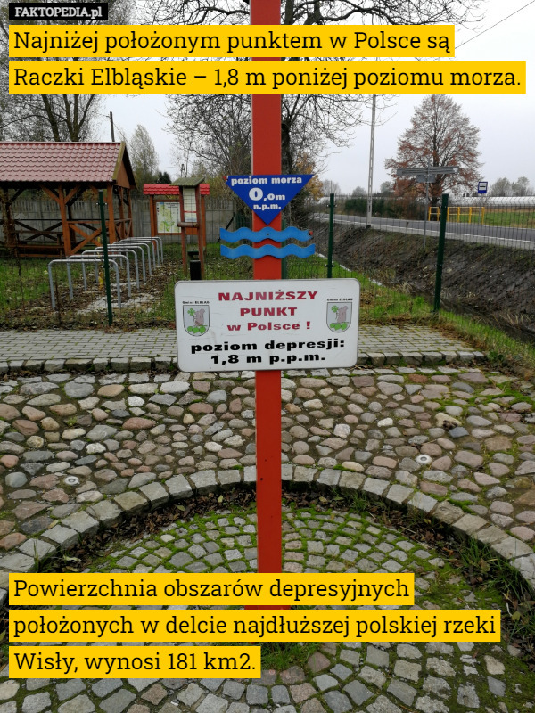 Najniżej położonym punktem w Polsce są Raczki Elbląskie – 1,8 m poniżej poziomu morza. 













Powierzchnia obszarów depresyjnych położonych w delcie najdłuższej polskiej rzeki Wisły, wynosi 181 km2. 