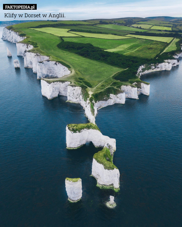 Klify w Dorset w Anglii. 