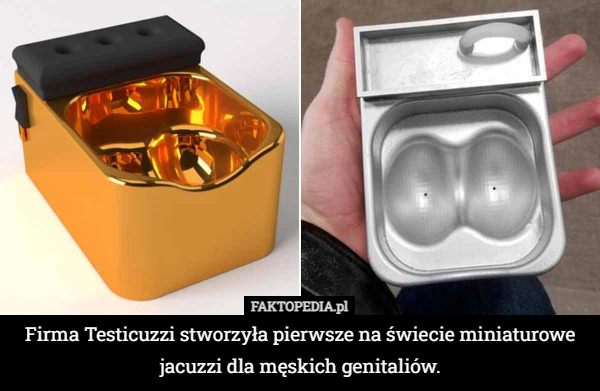 Firma Testicuzzi stworzyła pierwsze na świecie miniaturowe jacuzzi dla męskich genitaliów. 