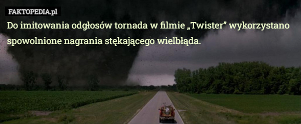 Do imitowania odgłosów tornada w filmie „Twister” wykorzystano spowolnione nagrania stękającego wielbłąda. 