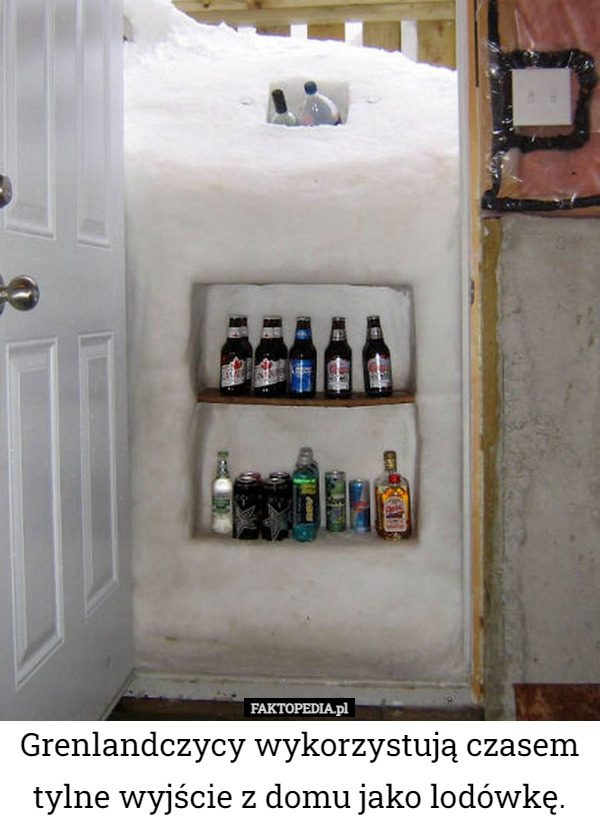 Grenlandczycy wykorzystują czasem tylne wyjście z domu jako lodówkę. 