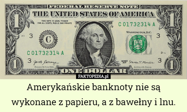 Amerykańskie banknoty nie są wykonane z papieru, a z bawełny i lnu. 