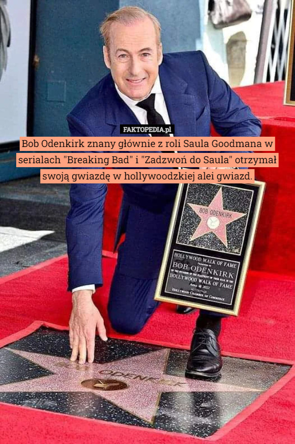 Bob Odenkirk znany głównie z roli Saula Goodmana w serialach "Breaking Bad" i "Zadzwoń do Saula" otrzymał swoją gwiazdę w hollywoodzkiej alei gwiazd. 