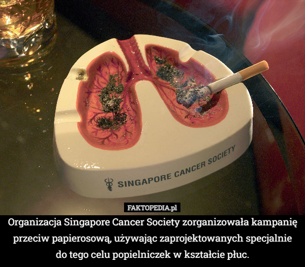 Organizacja Singapore Cancer Society zorganizowała kampanię przeciw papierosową, używając zaprojektowanych specjalnie do tego celu popielniczek w kształcie płuc. 