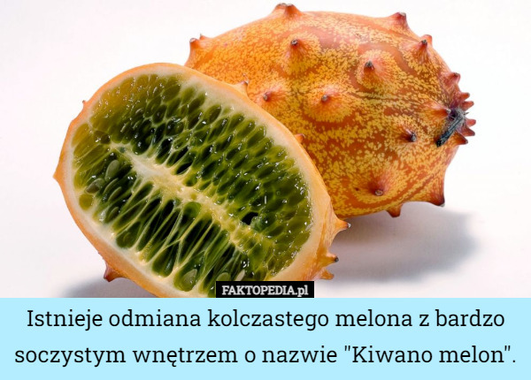Istnieje odmiana kolczastego melona z bardzo soczystym wnętrzem o nazwie "Kiwano melon". 