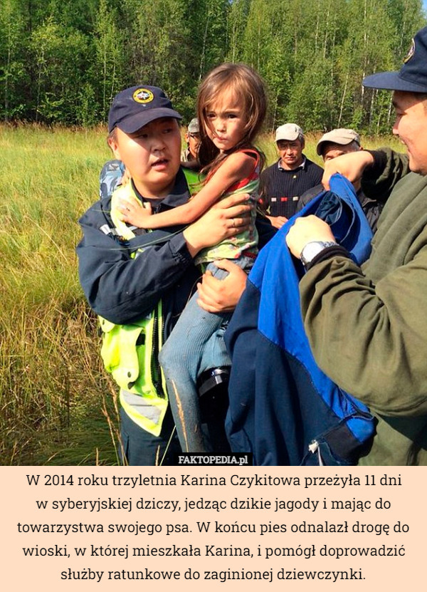 W 2014 roku trzyletnia Karina Czykitowa przeżyła 11 dni
 w syberyjskiej dziczy, jedząc dzikie jagody i mając do towarzystwa swojego psa. W końcu pies odnalazł drogę do wioski, w której mieszkała Karina, i pomógł doprowadzić służby ratunkowe do zaginionej dziewczynki. 