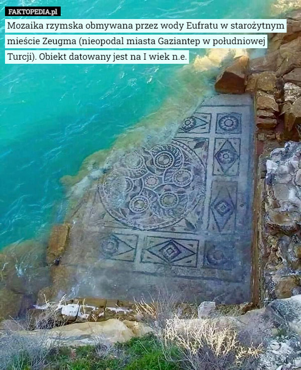Mozaika rzymska obmywana przez wody Eufratu w starożytnym mieście Zeugma (nieopodal miasta Gaziantep w południowej Turcji). Obiekt datowany jest na I wiek n.e. 