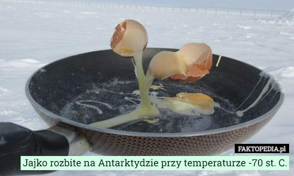Jajko rozbite na Antarktydzie przy temperaturze -70 st. C. 