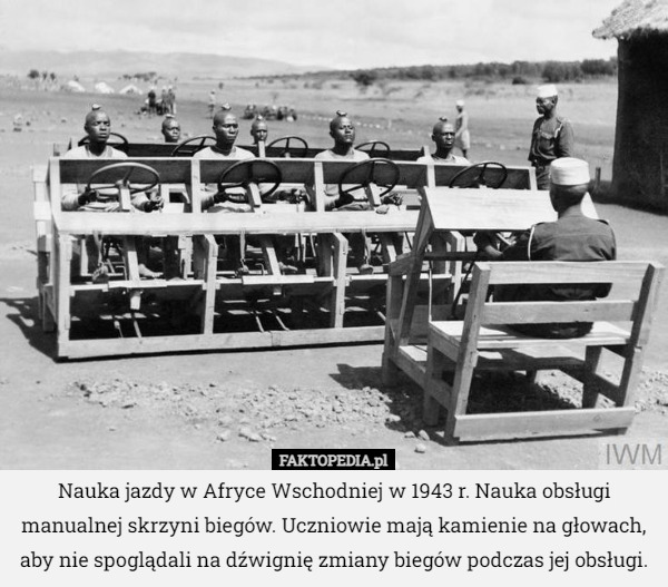 Nauka jazdy w Afryce Wschodniej w 1943 r. Nauka obsługi manualnej skrzyni biegów. Uczniowie mają kamienie na głowach, aby nie spoglądali na dźwignię zmiany biegów podczas jej obsługi. 
