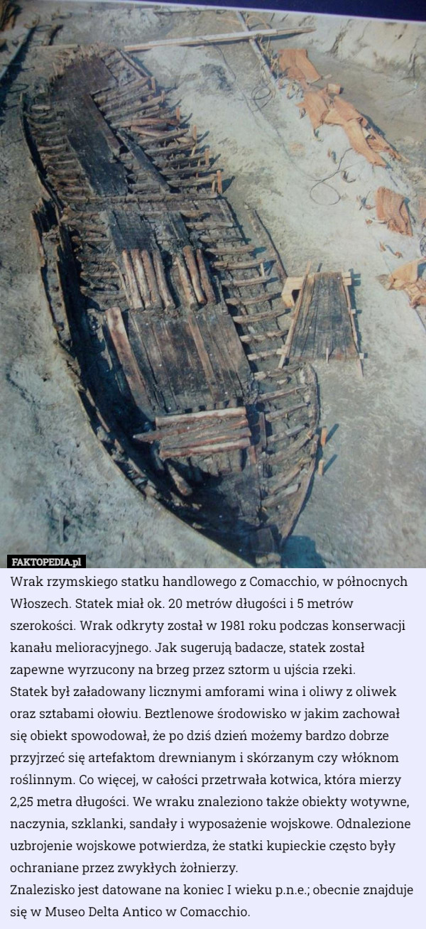 Wrak rzymskiego statku handlowego z Comacchio, w północnych Włoszech. Statek miał ok. 20 metrów długości i 5 metrów szerokości. Wrak odkryty został w 1981 roku podczas konserwacji kanału melioracyjnego. Jak sugerują badacze, statek został zapewne wyrzucony na brzeg przez sztorm u ujścia rzeki.
Statek był załadowany licznymi amforami wina i oliwy z oliwek oraz sztabami ołowiu. Beztlenowe środowisko w jakim zachował się obiekt spowodował, że po dziś dzień możemy bardzo dobrze przyjrzeć się artefaktom drewnianym i skórzanym czy włóknom roślinnym. Co więcej, w całości przetrwała kotwica, która mierzy 2,25 metra długości. We wraku znaleziono także obiekty wotywne, naczynia, szklanki, sandały i wyposażenie wojskowe. Odnalezione uzbrojenie wojskowe potwierdza, że statki kupieckie często były ochraniane przez zwykłych żołnierzy.
Znalezisko jest datowane na koniec I wieku p.n.e.; obecnie znajduje się w Museo Delta Antico w Comacchio. 