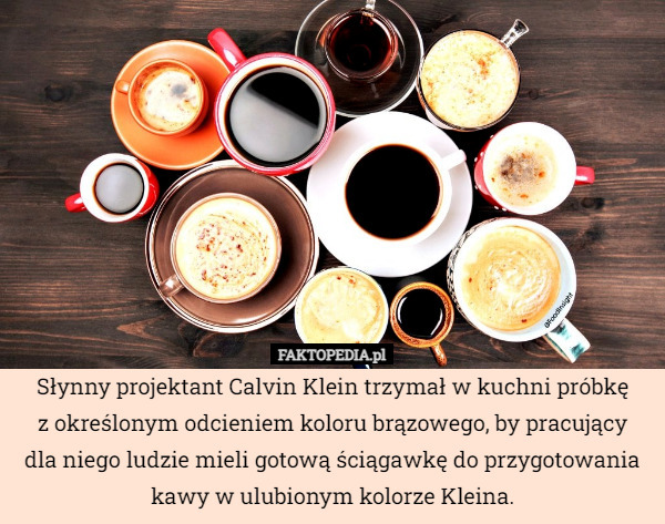 Słynny projektant Calvin Klein trzymał w kuchni próbkę
z określonym odcieniem koloru brązowego, by pracujący
dla niego ludzie mieli gotową ściągawkę do przygotowania kawy w ulubionym kolorze Kleina. 