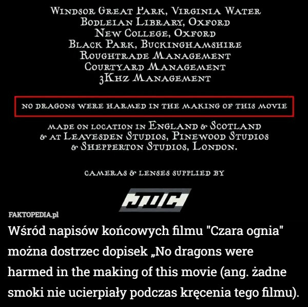 Wśród napisów końcowych filmu "Czara ognia" można dostrzec dopisek „No dragons were harmed in the making of this movie (ang. żadne smoki nie ucierpiały podczas kręcenia tego filmu). 