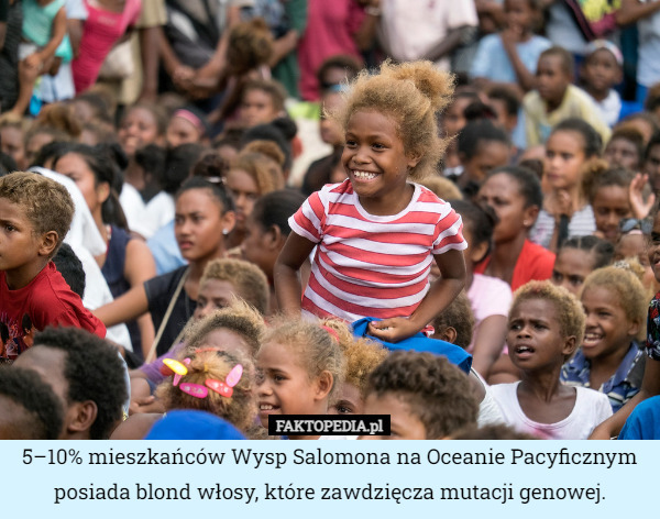 5–10% mieszkańców Wysp Salomona na Oceanie Pacyficznym posiada blond włosy, które zawdzięcza mutacji genowej. 
