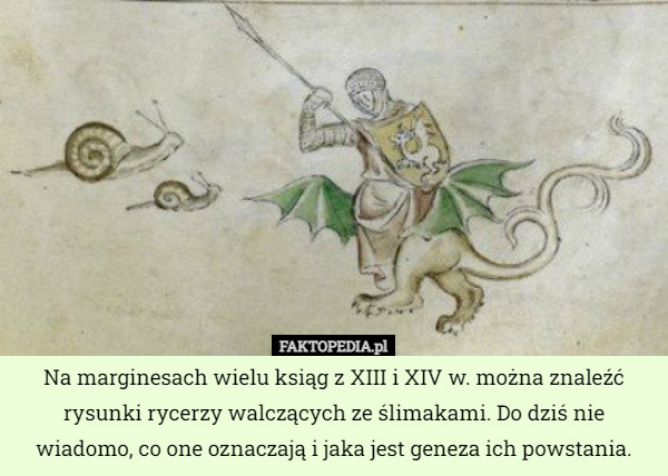 Na marginesach wielu ksiąg z XIII i XIV w. można znaleźć rysunki rycerzy walczących ze ślimakami. Do dziś nie wiadomo, co one oznaczają i jaka jest geneza ich powstania. 