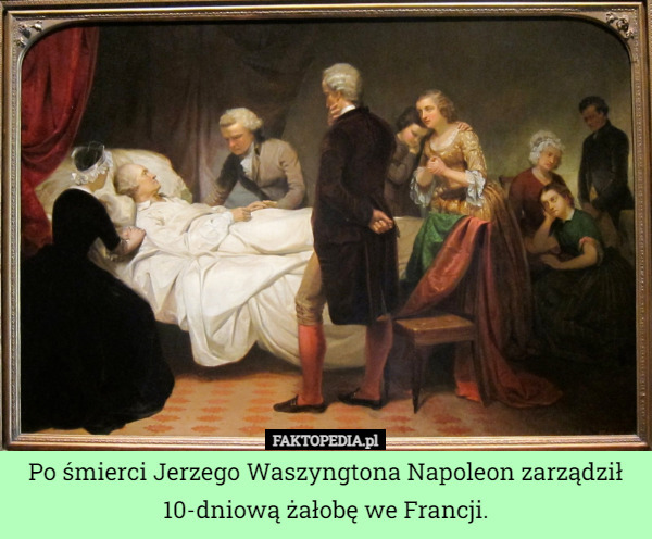 Po śmierci Jerzego Waszyngtona Napoleon zarządził 10-dniową żałobę we Francji. 
