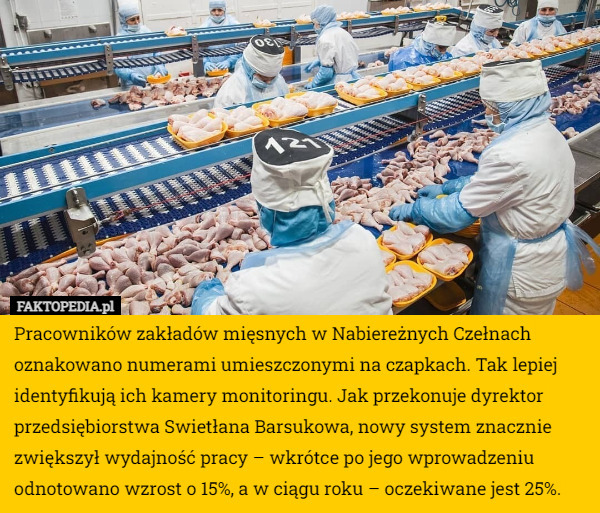 Pracowników zakładów mięsnych w Nabiereżnych Czełnach oznakowano numerami umieszczonymi na czapkach. Tak lepiej identyfikują ich kamery monitoringu. Jak przekonuje dyrektor przedsiębiorstwa Swietłana Barsukowa, nowy system znacznie zwiększył wydajność pracy – wkrótce po jego wprowadzeniu odnotowano wzrost o 15%, a w ciągu roku – oczekiwane jest 25%. 
