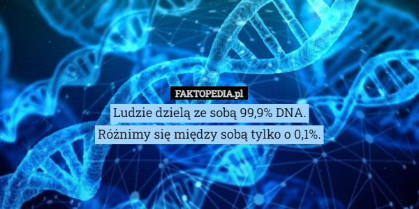 Ludzie dzielą ze sobą 99,9% DNA.
Różnimy się między sobą tylko o 0,1%. 