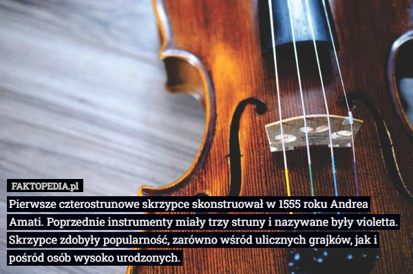 Pierwsze czterostrunowe skrzypce skonstruował w 1555 roku Andrea Amati. Poprzednie instrumenty miały trzy struny i nazywane były violetta. Skrzypce zdobyły popularność, zarówno wśród ulicznych grajków, jak i pośród osób wysoko urodzonych. 