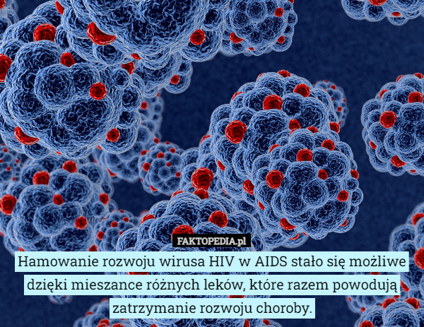 Hamowanie rozwoju wirusa HIV w AIDS stało się możliwe dzięki mieszance różnych leków, które razem powodują zatrzymanie rozwoju choroby. 