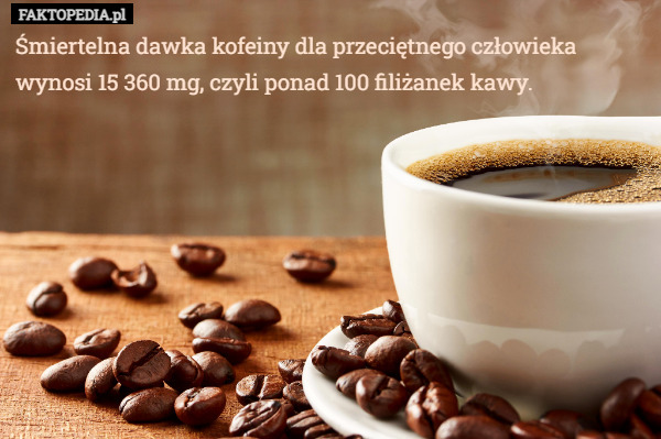 Śmiertelna dawka kofeiny dla przeciętnego człowieka wynosi 15 360 mg, czyli ponad 100 filiżanek kawy. 