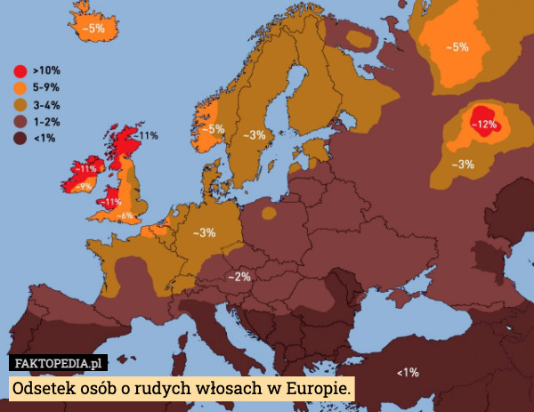 Odsetek osób o rudych włosach w Europie. 