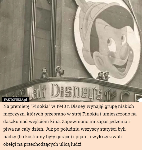 Na premierę "Pinokia" w 1940 r. Disney wynajął grupę niskich mężczyzn, których przebrano w strój Pinokia i umieszczono na daszku nad wejściem kina. Zapewniono im zapas jedzenia i piwa na cały dzień. Już po południu wszyscy statyści byli nadzy (bo kostiumy były gorące) i pijani, i wykrzykiwali
 obelgi na przechodzących ulicą ludzi. 