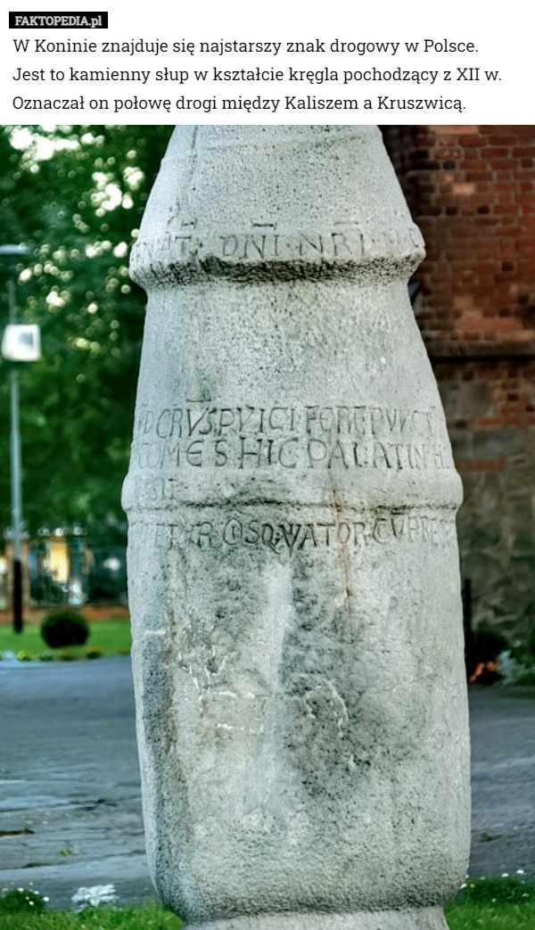 W Koninie znajduje się najstarszy znak drogowy w Polsce.
 Jest to kamienny słup w kształcie kręgla pochodzący z XII w. Oznaczał on połowę drogi między Kaliszem a Kruszwicą. 