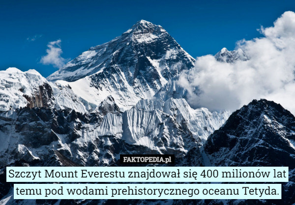 Szczyt Mount Everestu znajdował się 400 milionów lat temu pod wodami prehistorycznego oceanu Tetyda. 