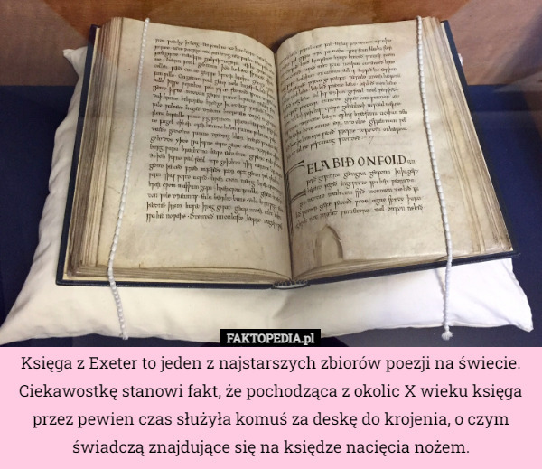 Księga z Exeter to jeden z najstarszych zbiorów poezji na świecie. Ciekawostkę stanowi fakt, że pochodząca z okolic X wieku księga przez pewien czas służyła komuś za deskę do krojenia, o czym świadczą znajdujące się na księdze nacięcia nożem. 