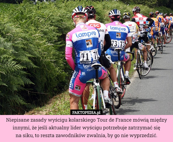 Niepisane zasady wyścigu kolarskiego Tour de France mówią między innymi, że jeśli aktualny lider wyścigu potrzebuje zatrzymać się
na siku, to reszta zawodników zwalnia, by go nie wyprzedzić. 