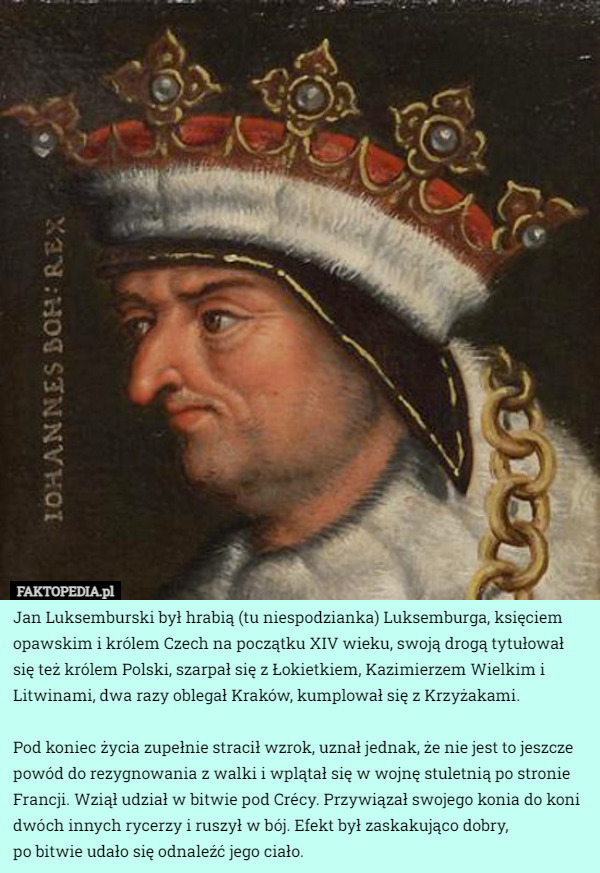 Jan Luksemburski był hrabią (tu niespodzianka) Luksemburga, księciem opawskim i królem Czech na początku XIV wieku, swoją drogą tytułował się też królem Polski, szarpał się z Łokietkiem, Kazimierzem Wielkim i Litwinami, dwa razy oblegał Kraków, kumplował się z Krzyżakami.

 Pod koniec życia zupełnie stracił wzrok, uznał jednak, że nie jest to jeszcze powód do rezygnowania z walki i wplątał się w wojnę stuletnią po stronie Francji. Wziął udział w bitwie pod Crécy. Przywiązał swojego konia do koni dwóch innych rycerzy i ruszył w bój. Efekt był zaskakująco dobry,
 po bitwie udało się odnaleźć jego ciało. 