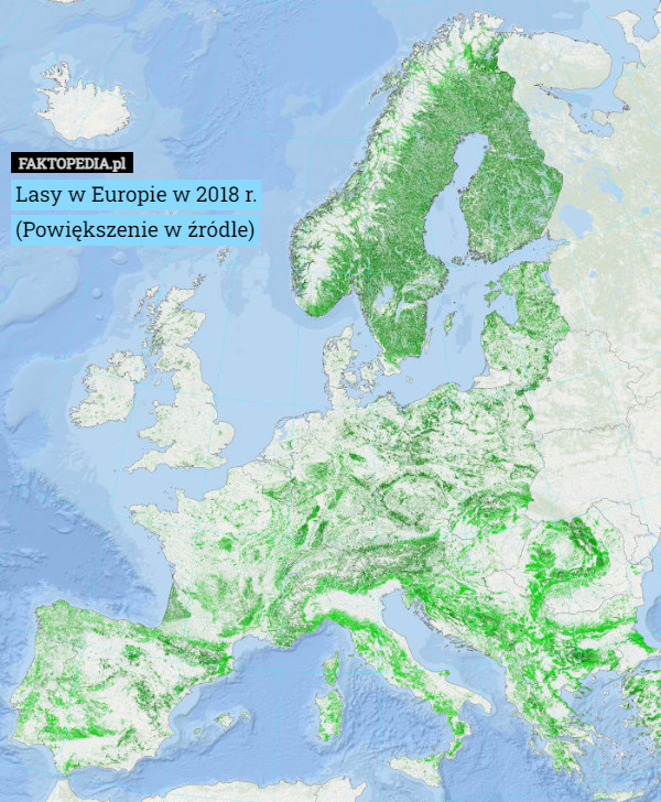 Lasy w Europie w 2018 r.
(Powiększenie w źródle) 
