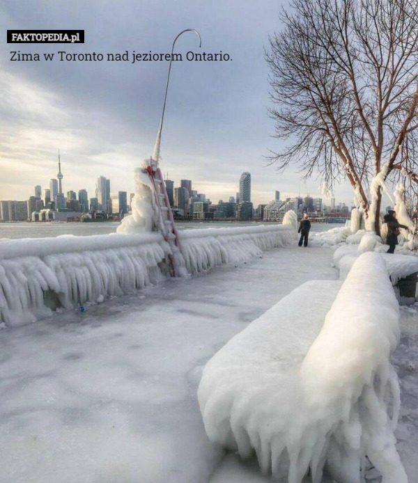 Zima w Toronto nad jeziorem Ontario. 
