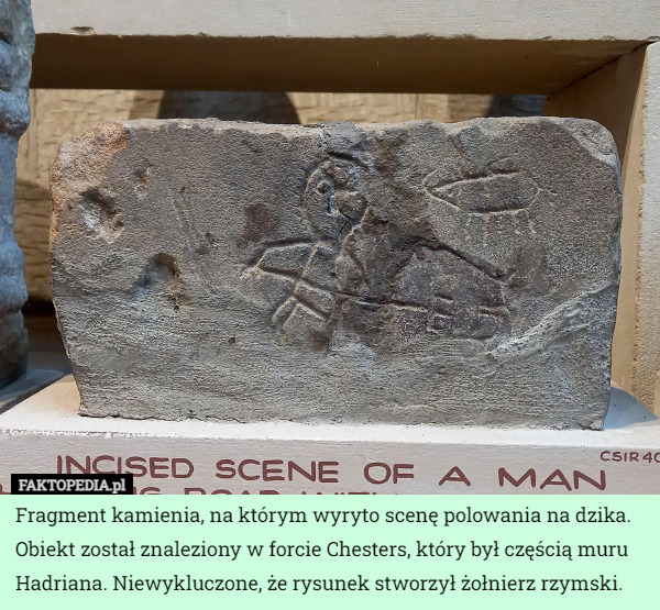 Fragment kamienia, na którym wyryto scenę polowania na dzika. Obiekt został znaleziony w forcie Chesters, który był częścią muru Hadriana. Niewykluczone, że rysunek stworzył żołnierz rzymski. 