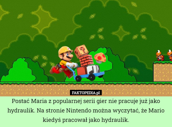 Postać Maria z popularnej serii gier nie pracuje już jako hydraulik. Na stronie Nintendo można wyczytać, że Mario kiedyś pracował jako hydraulik. 