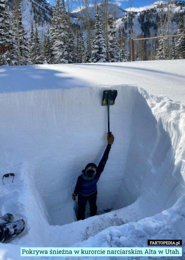 Pokrywa śnieżna w kurorcie narciarskim Alta w Utah. 