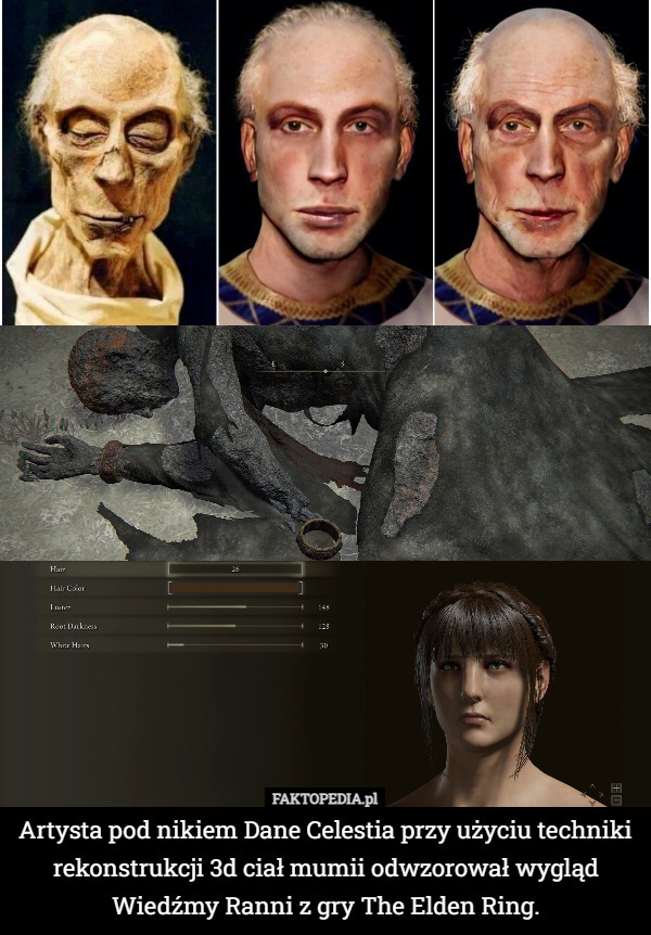 Artysta pod nikiem Dane Celestia przy użyciu techniki rekonstrukcji 3d ciał mumii odwzorował wygląd Wiedźmy Ranni z gry The Elden Ring. 