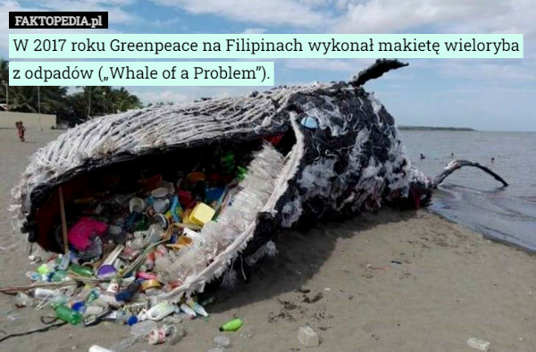 W 2017 roku Greenpeace na Filipinach wykonał makietę wieloryba z odpadów („Whale of a Problem”). 