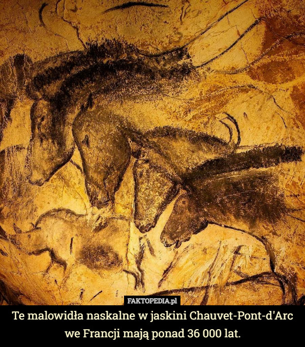 Te malowidła naskalne w jaskini Chauvet-Pont-d'Arc we Francji mają ponad 36 000 lat. 