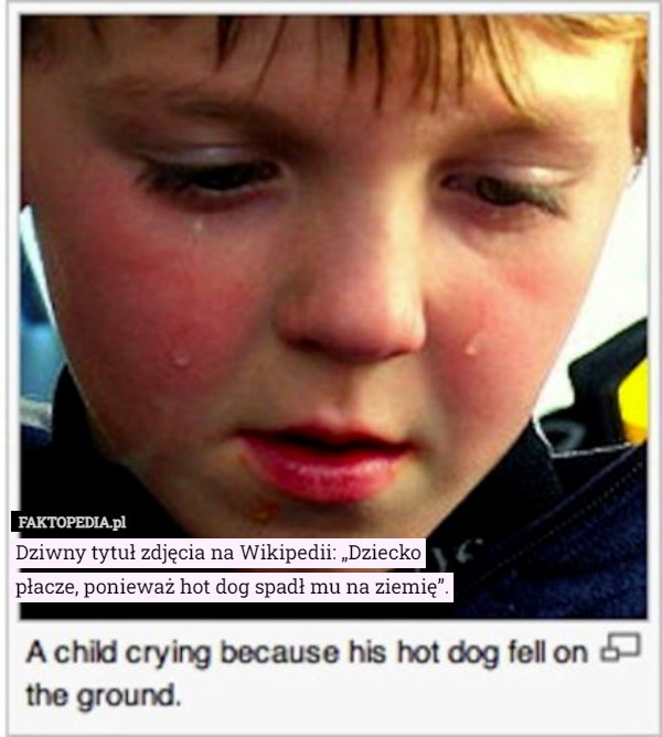 Dziwny tytuł zdjęcia na Wikipedii: „Dziecko płacze, ponieważ hot dog spadł mu na ziemię”. 